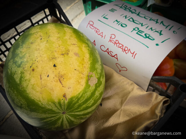 new images from barga -7891