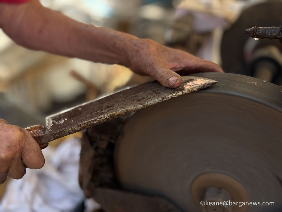 new images from barga -7898 copy