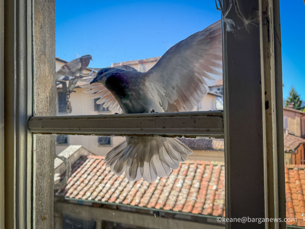 Barga Daily Image 1st September 2026