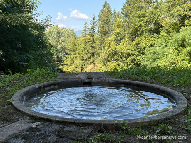 new images from barga -8488