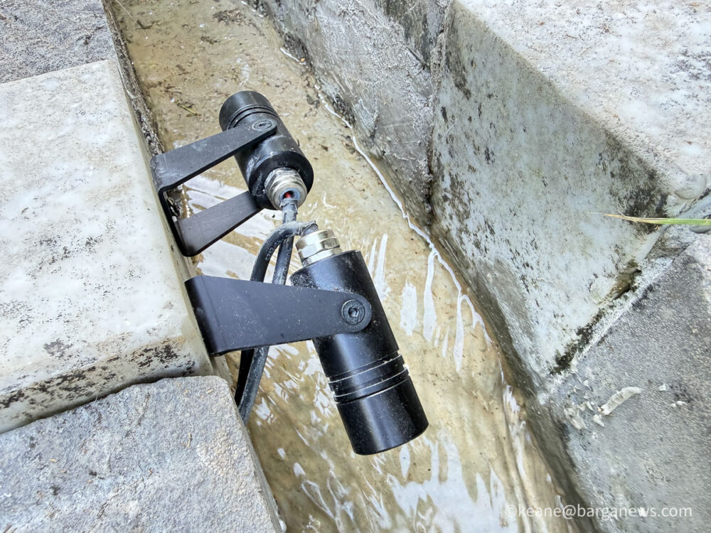 new images from barga -8492
