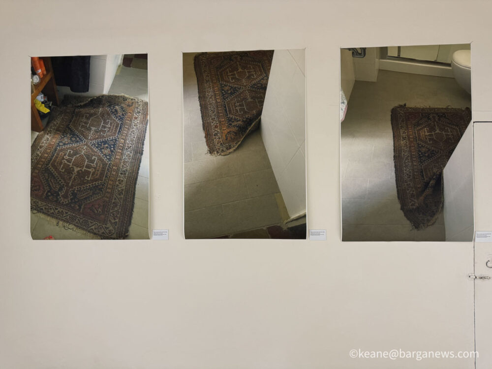 new images from barga -8611