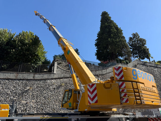 new images from barga -8655