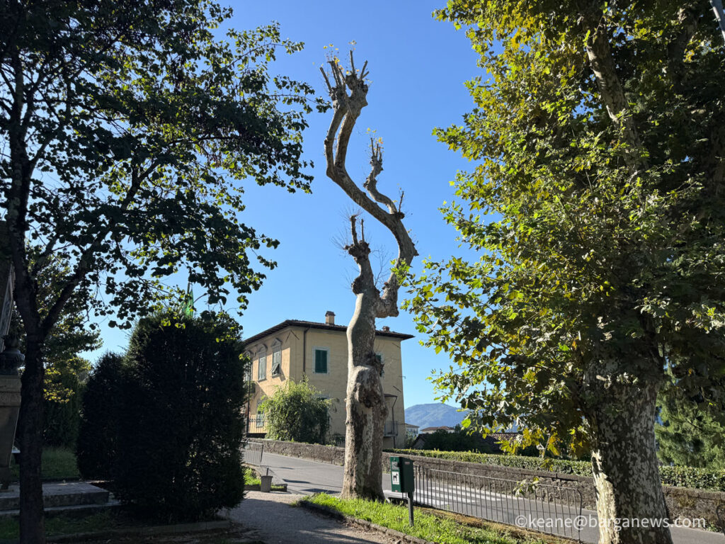 Barga Daily Image 29th September 2026