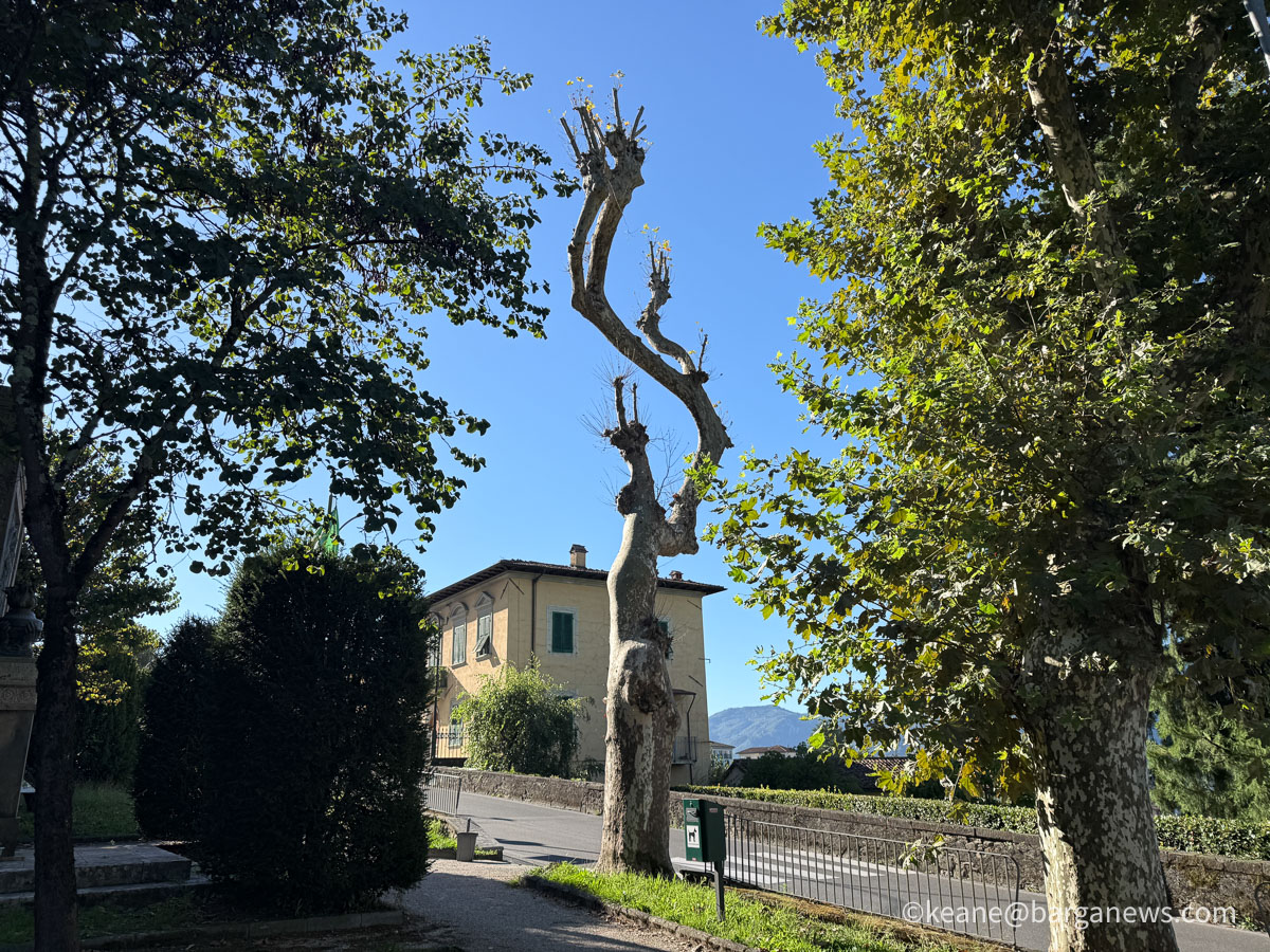 Barga Daily Image 29th September 2026
