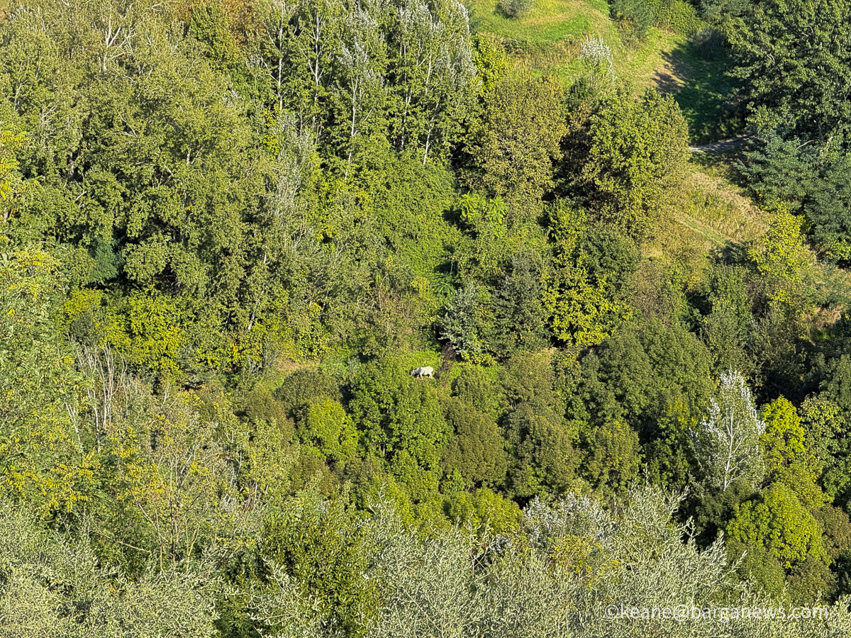 Barga Daily Image 6th October 2026