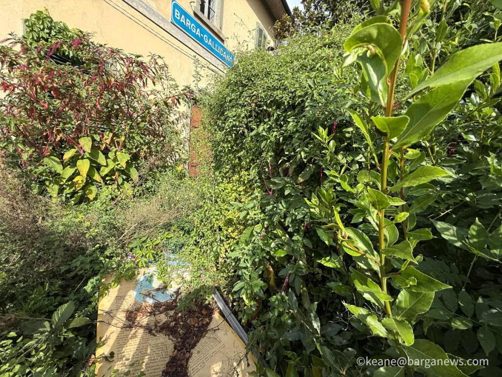 Barga Daily Image 5th October 2026