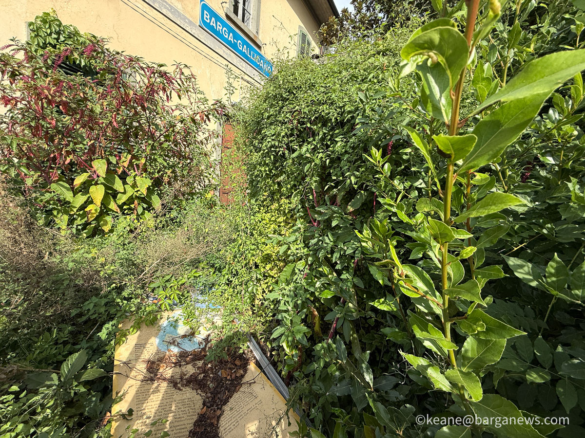 Barga Daily Image 5th October 2026